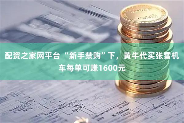 配资之家网平台 “新手禁购”下，黄牛代买张雪机车每单可赚1600元