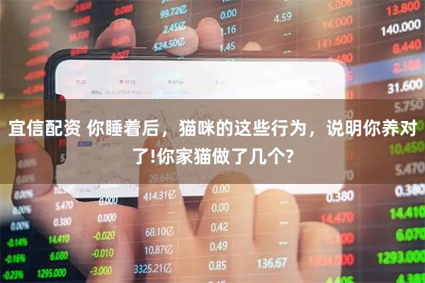 宜信配资 你睡着后，猫咪的这些行为，说明你养对了!你家猫做了几个?