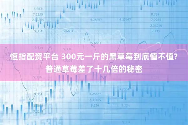 恒指配资平台 300元一斤的黑草莓到底值不值?普通草莓差了十几倍的秘密