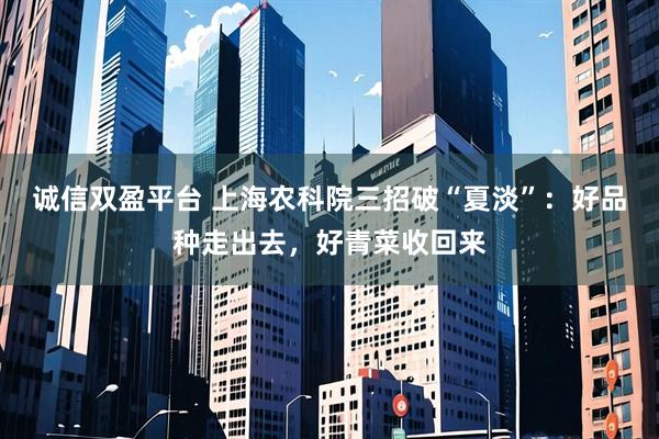 诚信双盈平台 上海农科院三招破“夏淡”：好品种走出去，好青菜收回来
