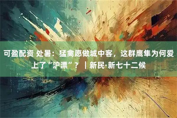可盈配资 处暑：猛禽愿做城中客，这群鹰隼为何爱上了“沪漂”？｜新民·新七十二候